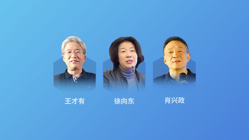 失眠调理食疗：中医智慧与现代生活的融合